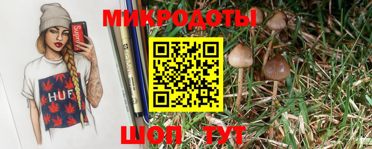 Псилоцибиновые грибы MAGIC MUSHROOMS Губаха